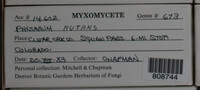 Image Associated With the Occurence